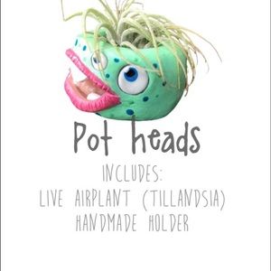 Handmade Airplant holders w/plant